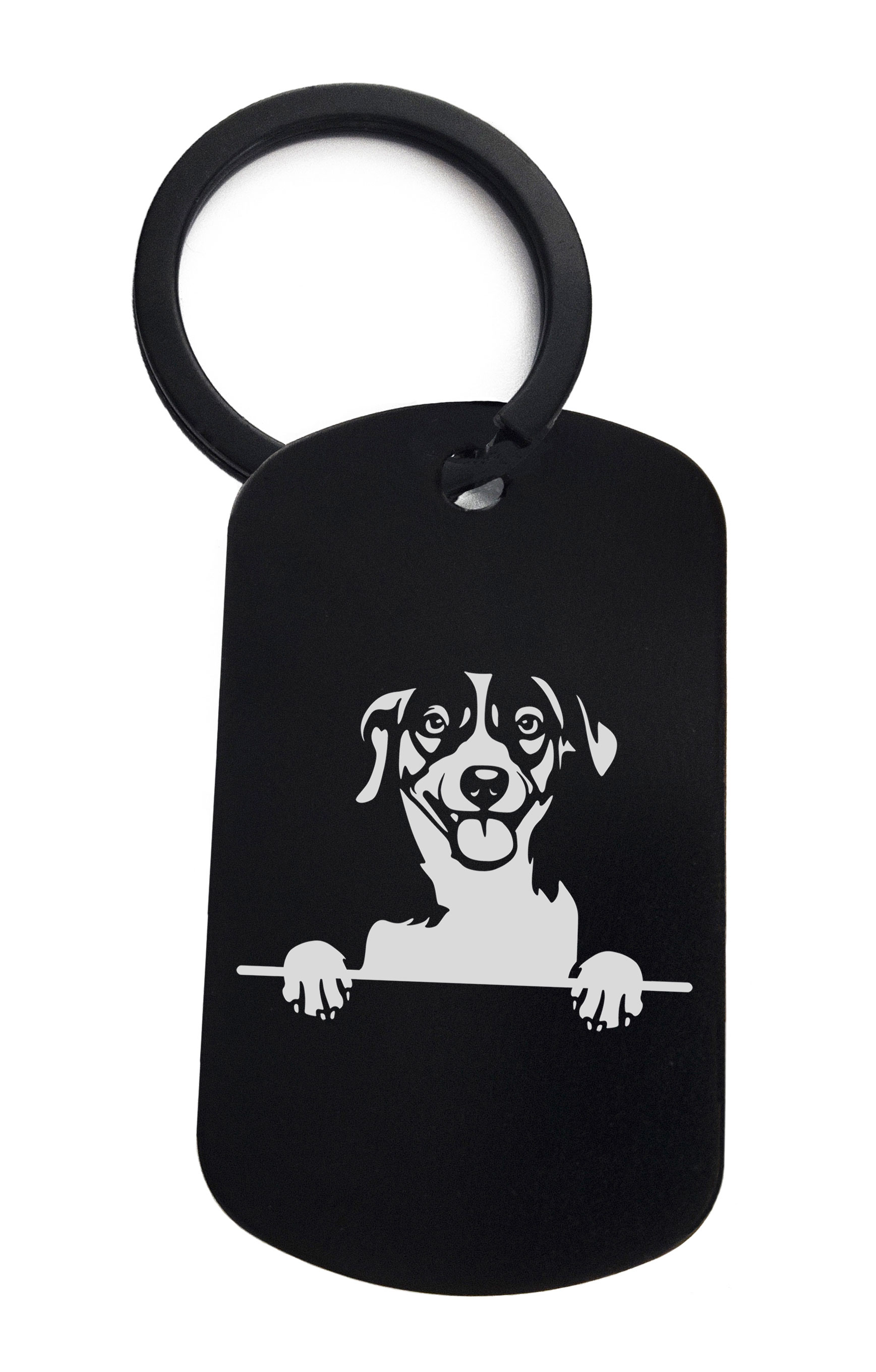 Russell Terriers Cute Dog