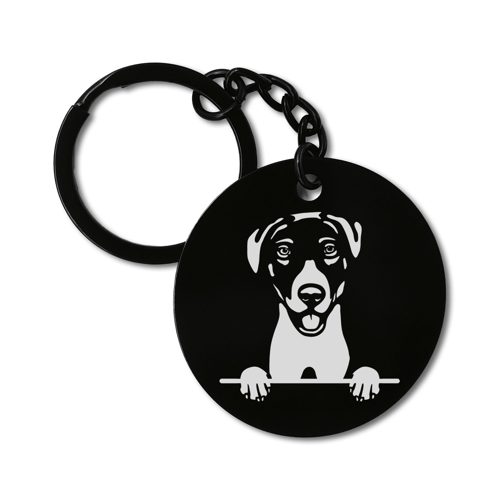 Blue Lacy Cute Dog Graviruotas metalinis pakabukas su pasirenkamu užkabinimu