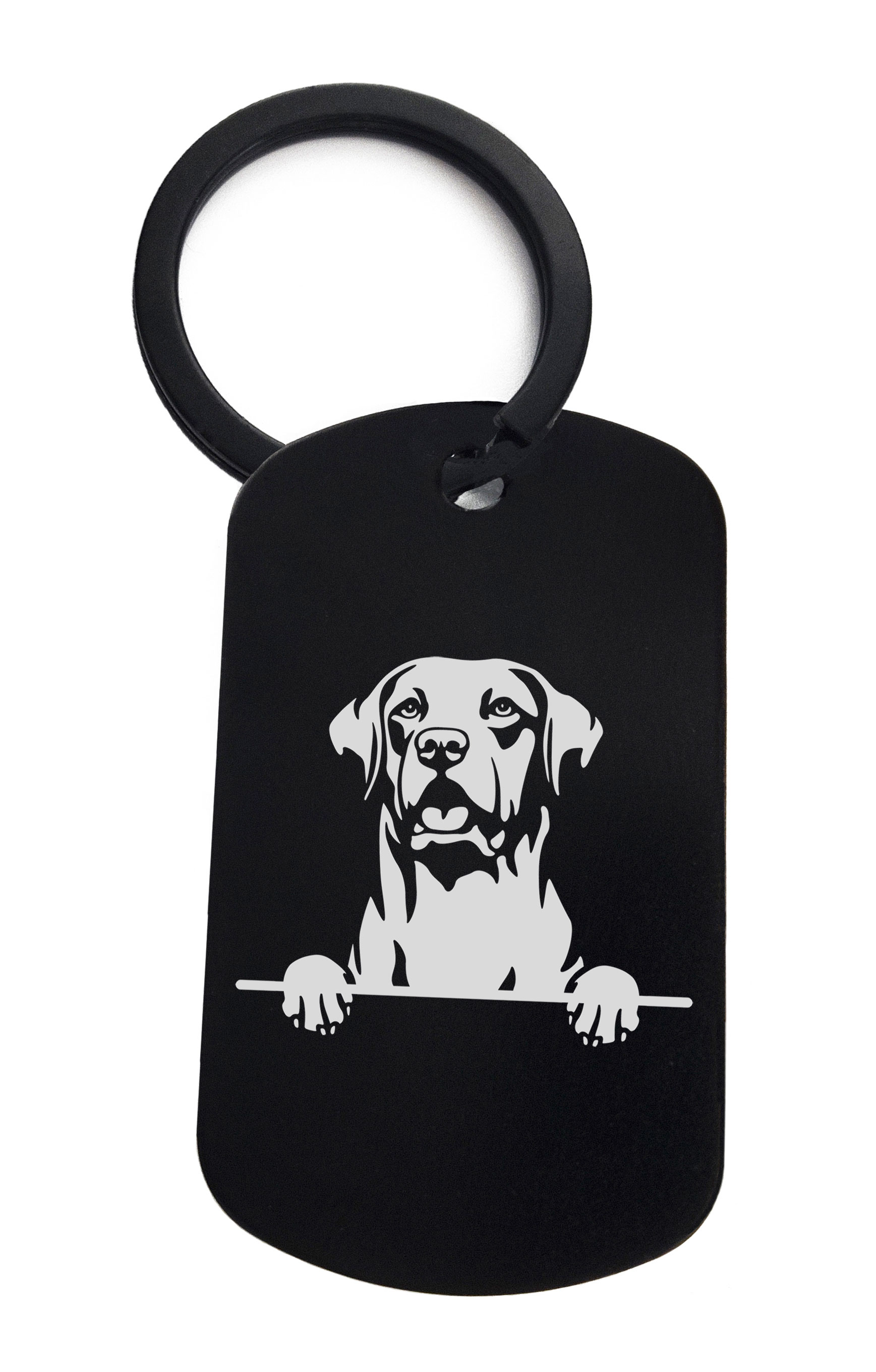 Retrievers Chesapeake Bay Cute Dog