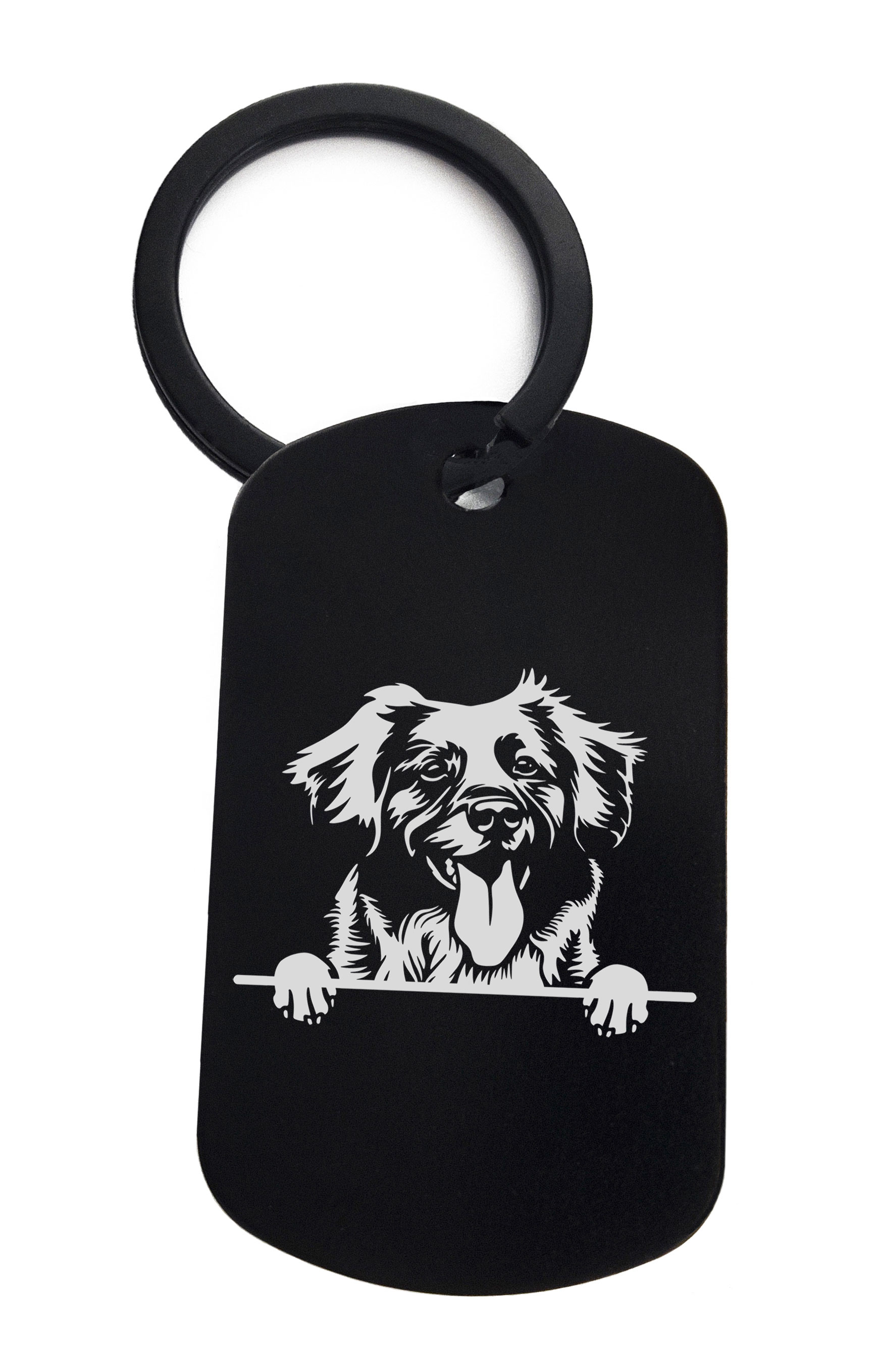 Retrievers Nova Scotia Duck Tolling Cute Dog