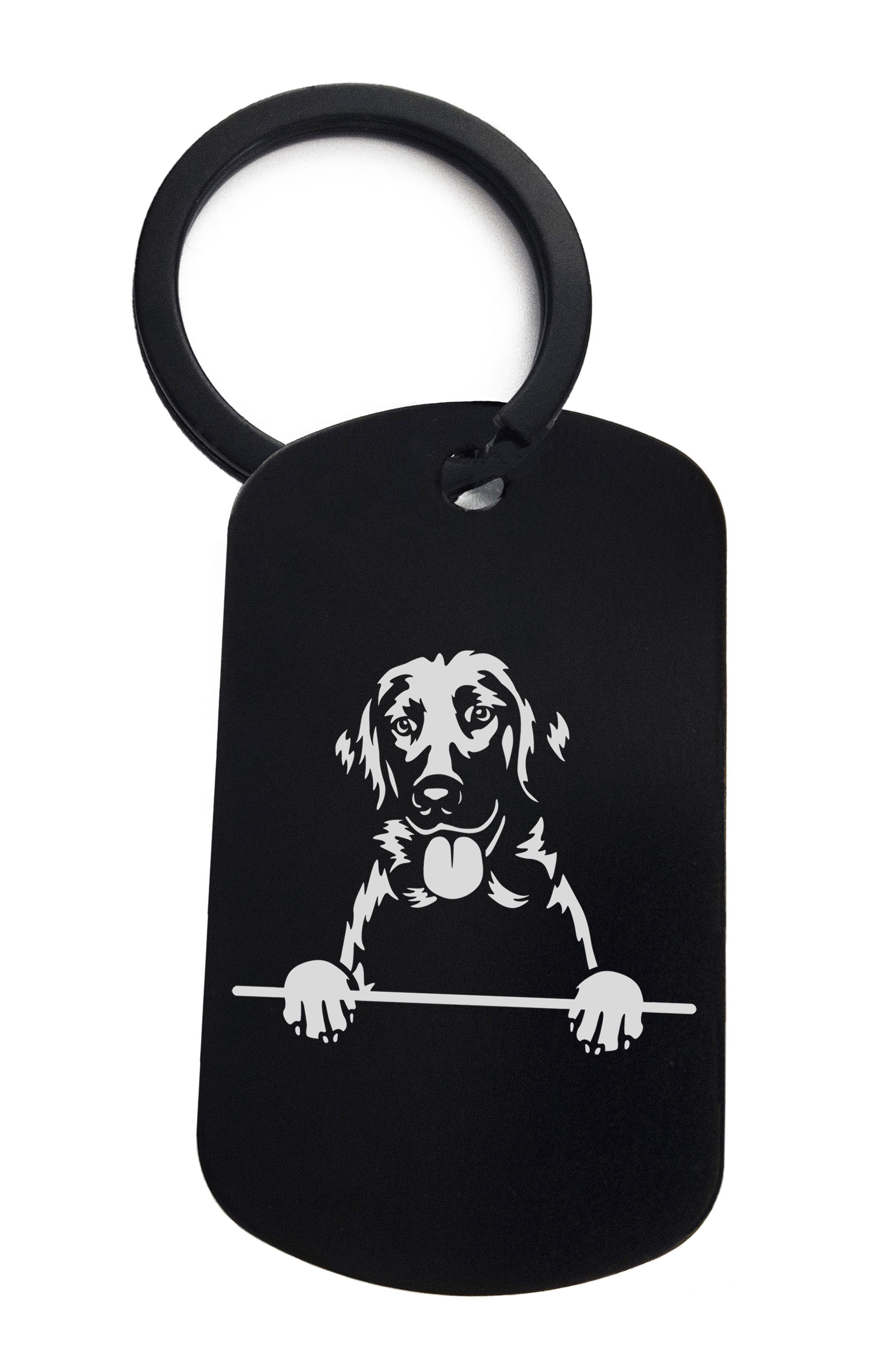 Retrievers (Flat Coated) Cute Dog