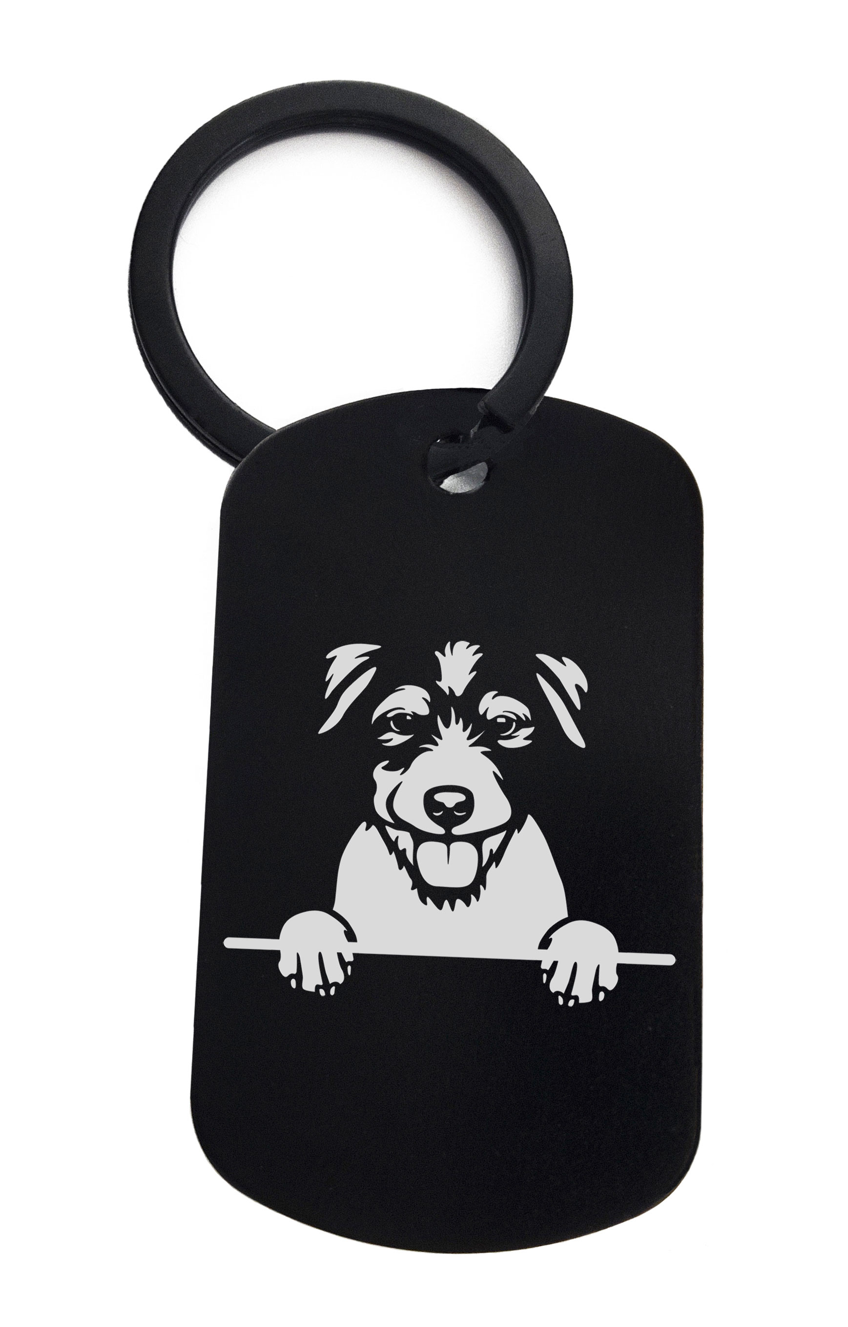 Parson Russell Terriers Cute Dog