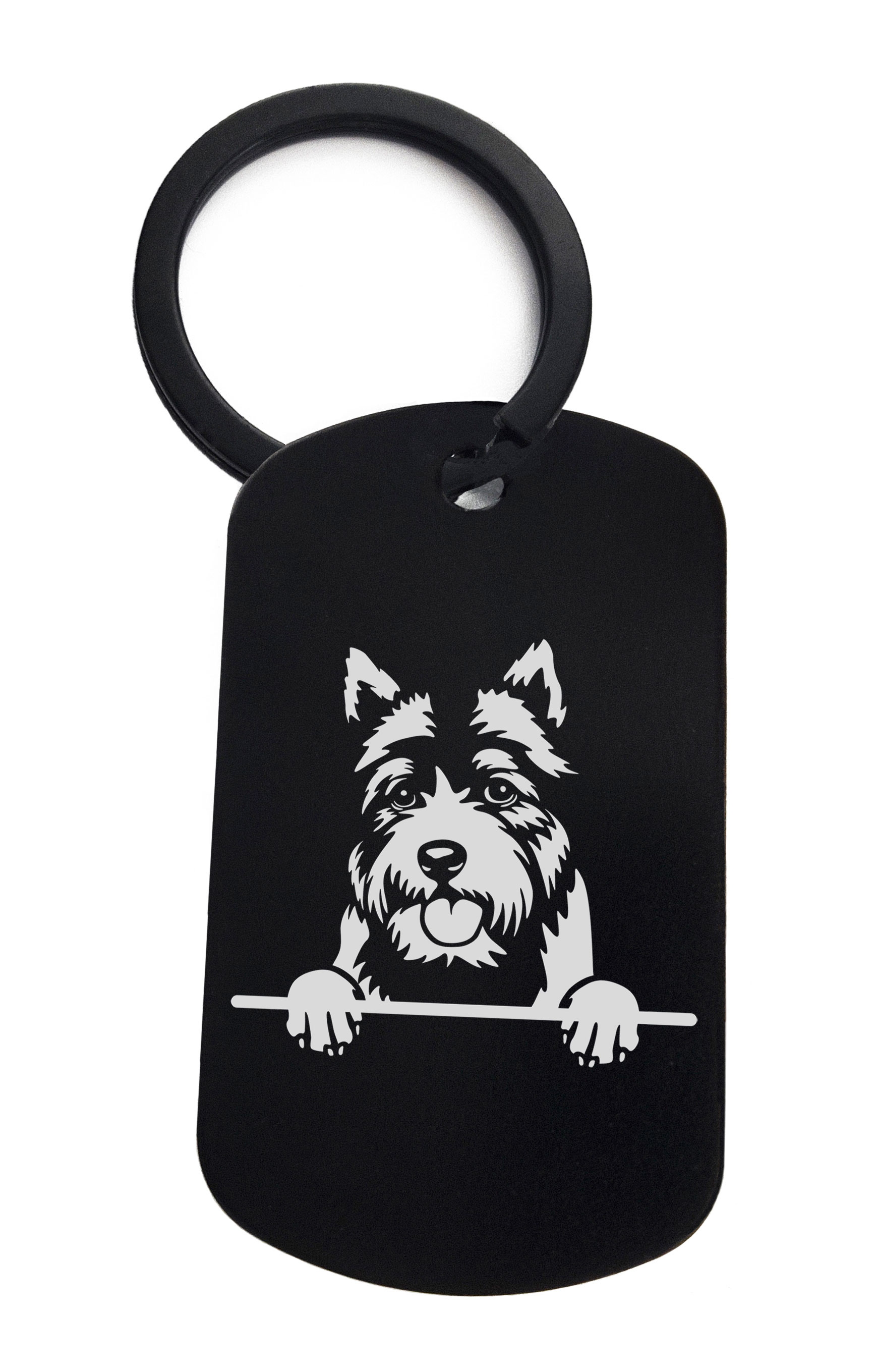 Norwich Terriers Cute Dog