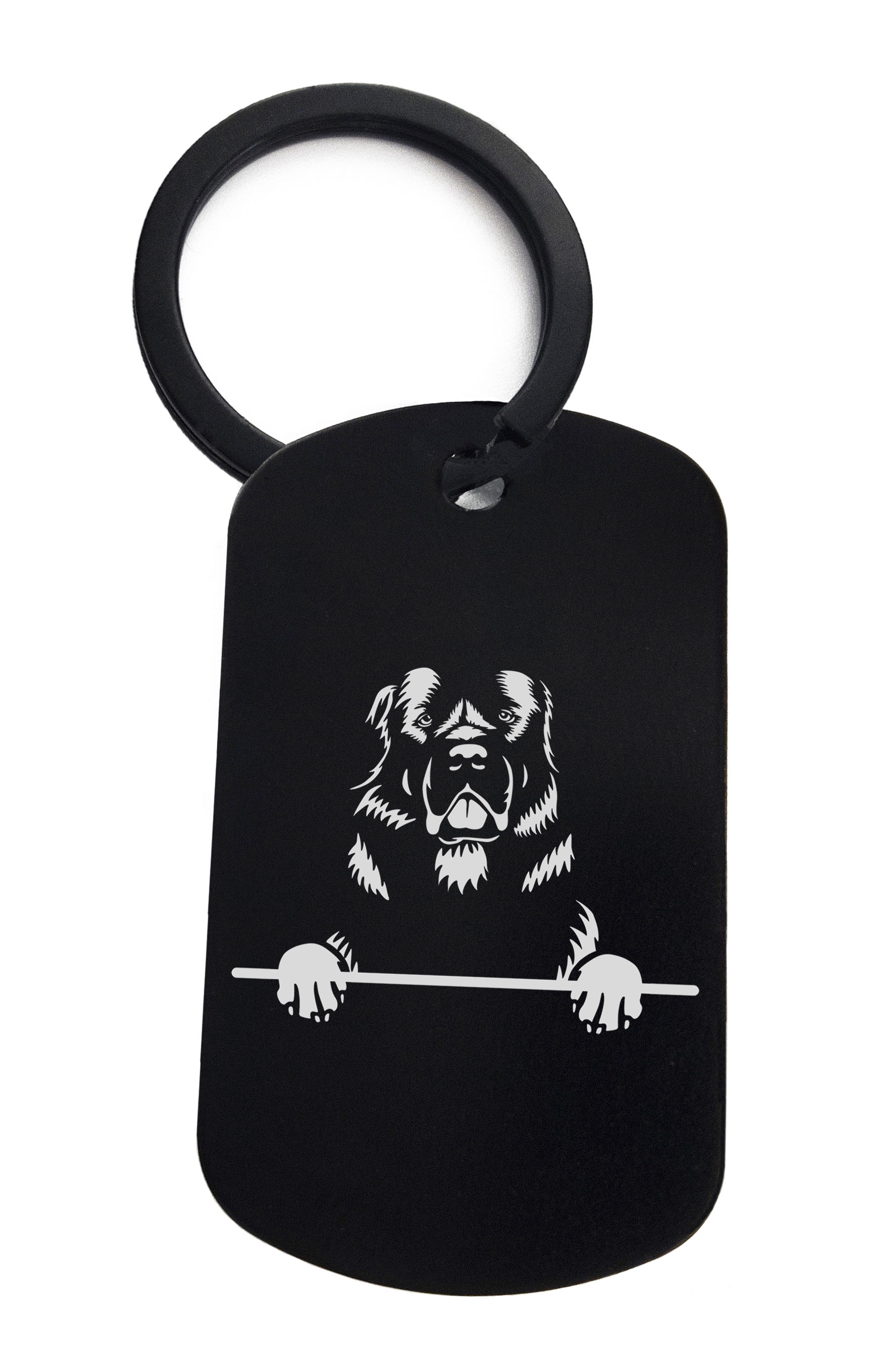 Newfoundland Cute Dog