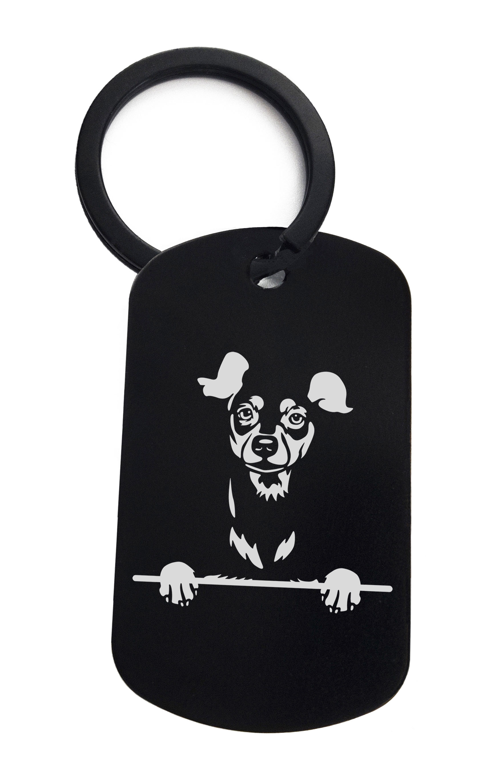 Miniature Pinschers Cute Dog