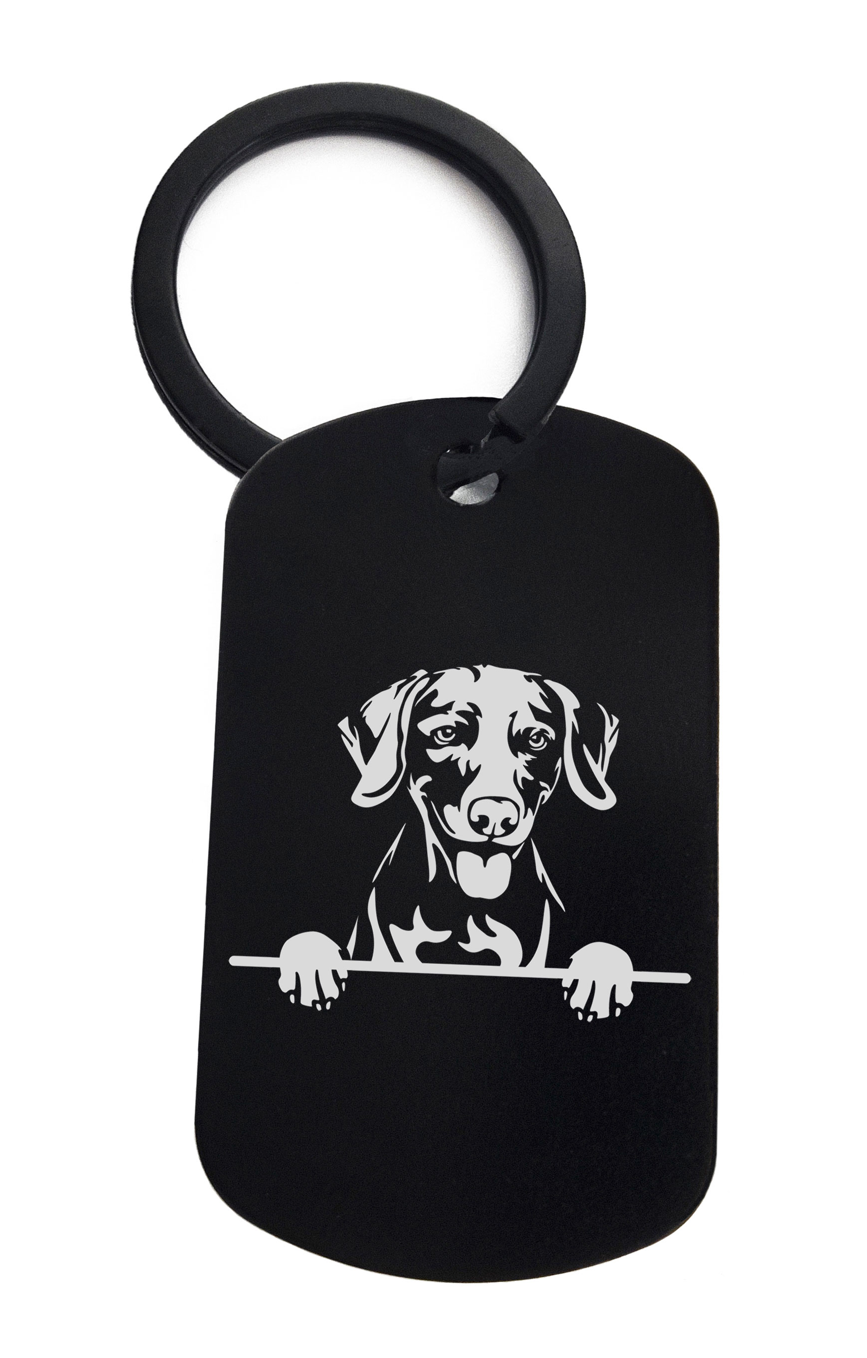 Weimaraners Cute Dog