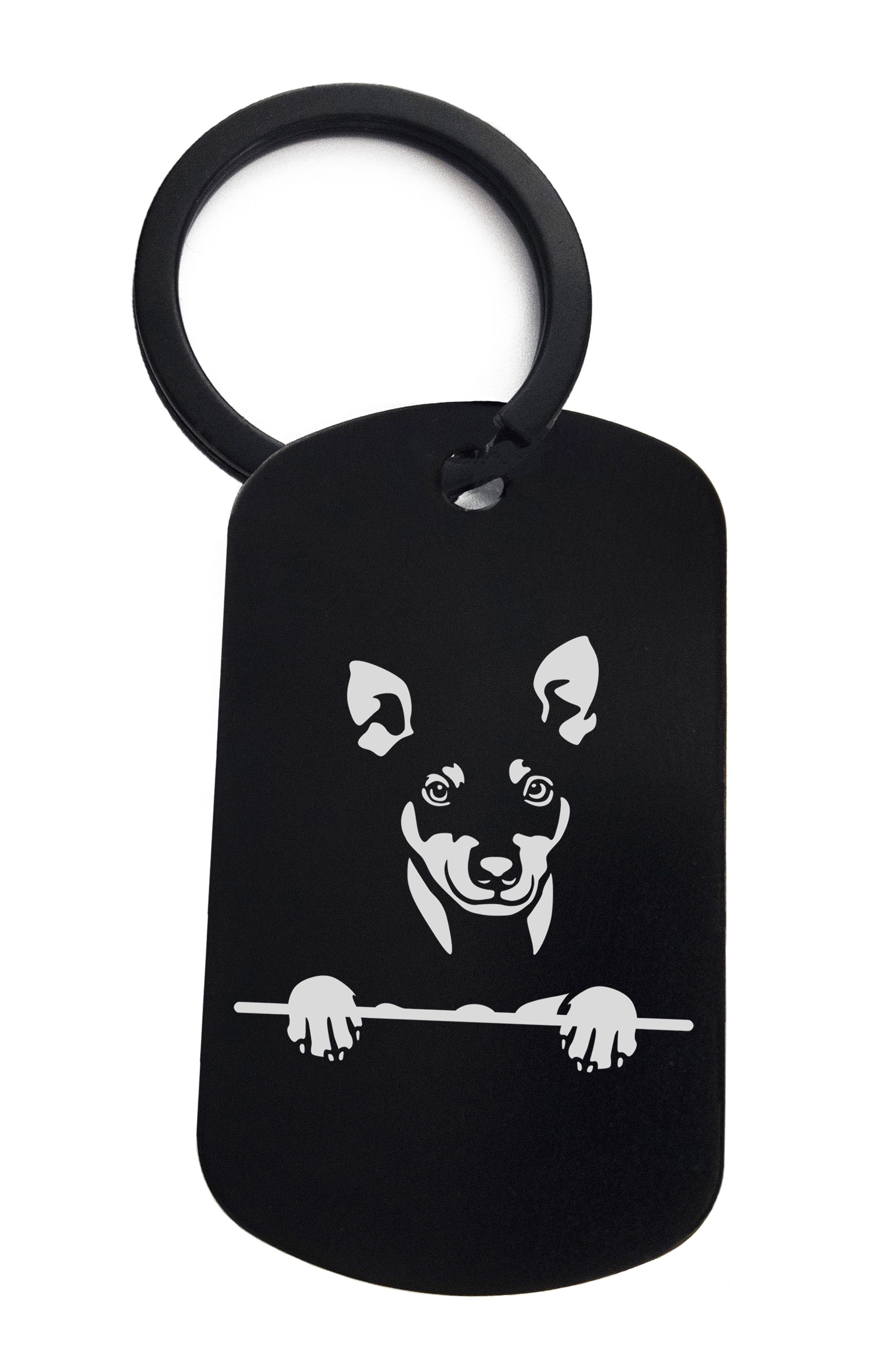 Manchester Terriers Cute Dog