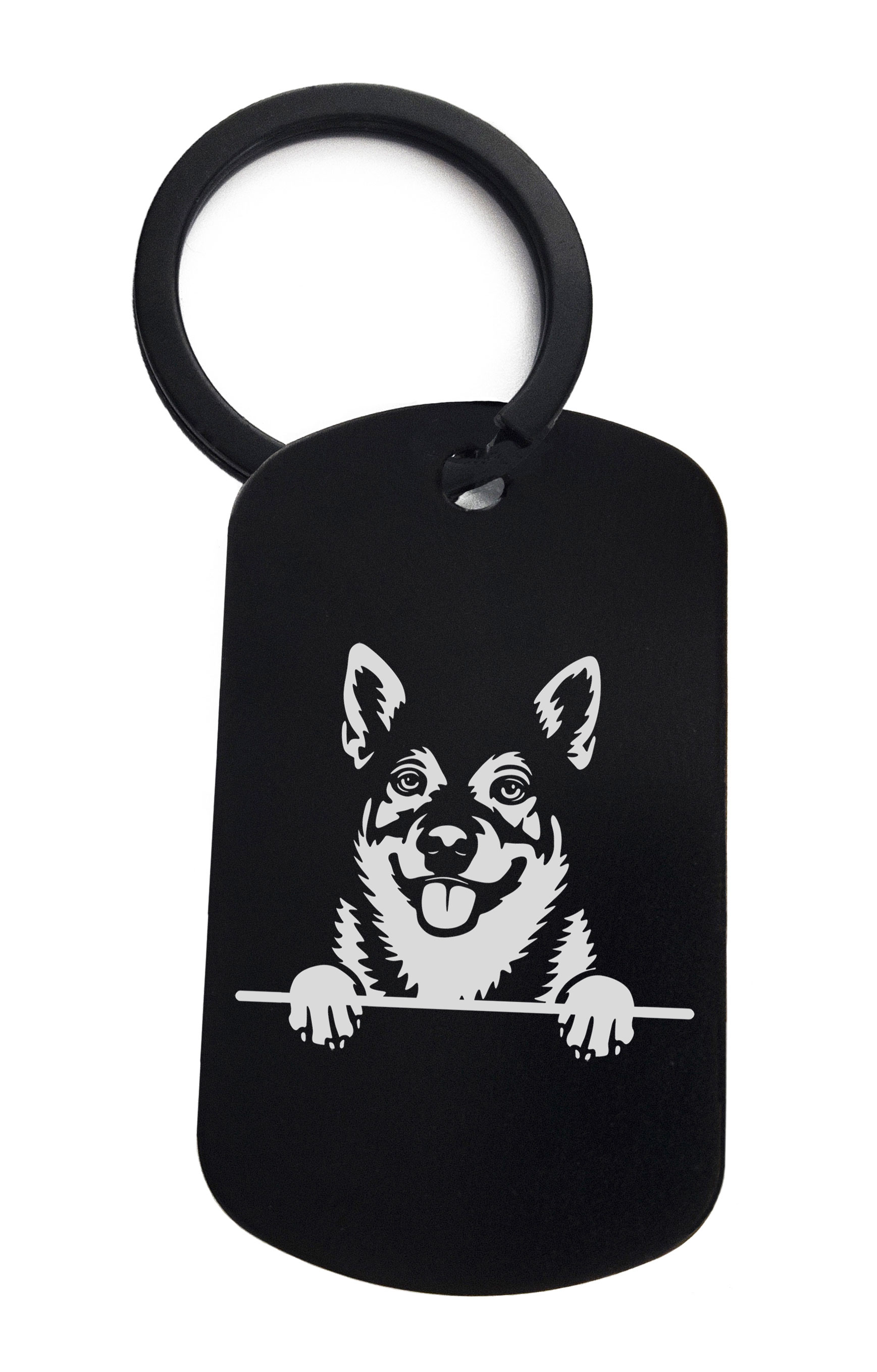 Swedish Vallhunds Cute Dog