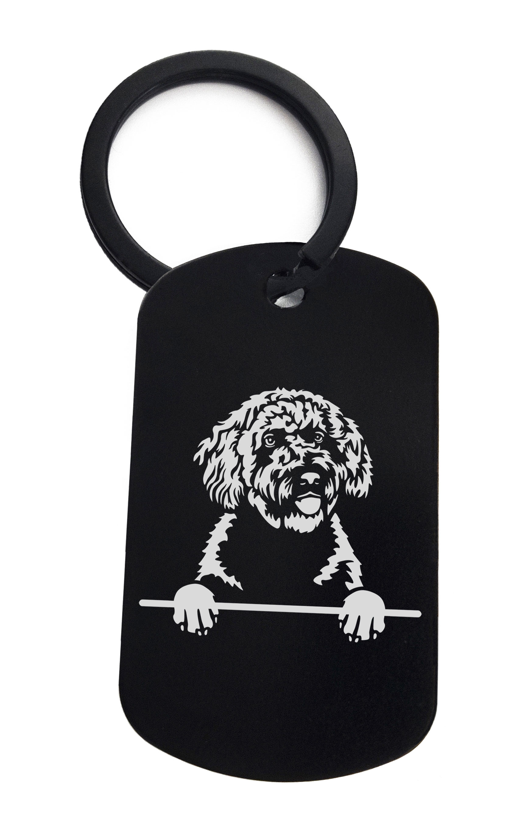 Spanish Water Dogs Cute Dog