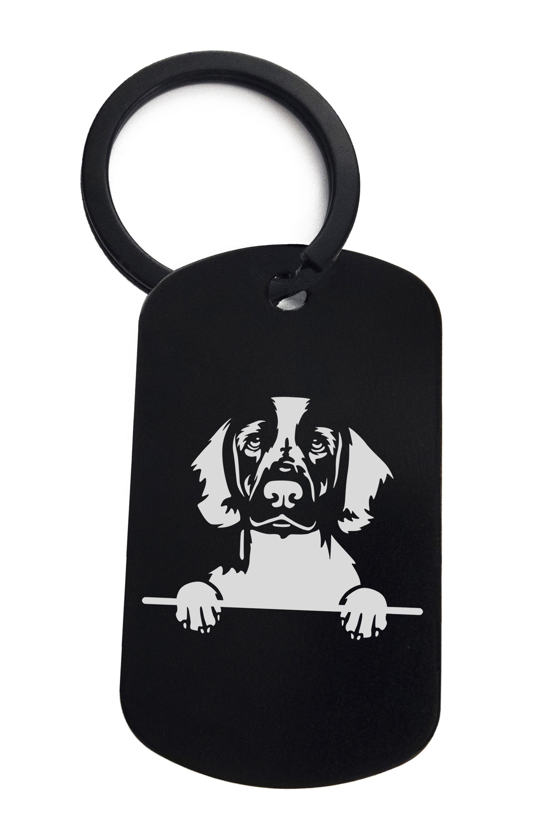 Spaniels Welsh Springer Cute Dog