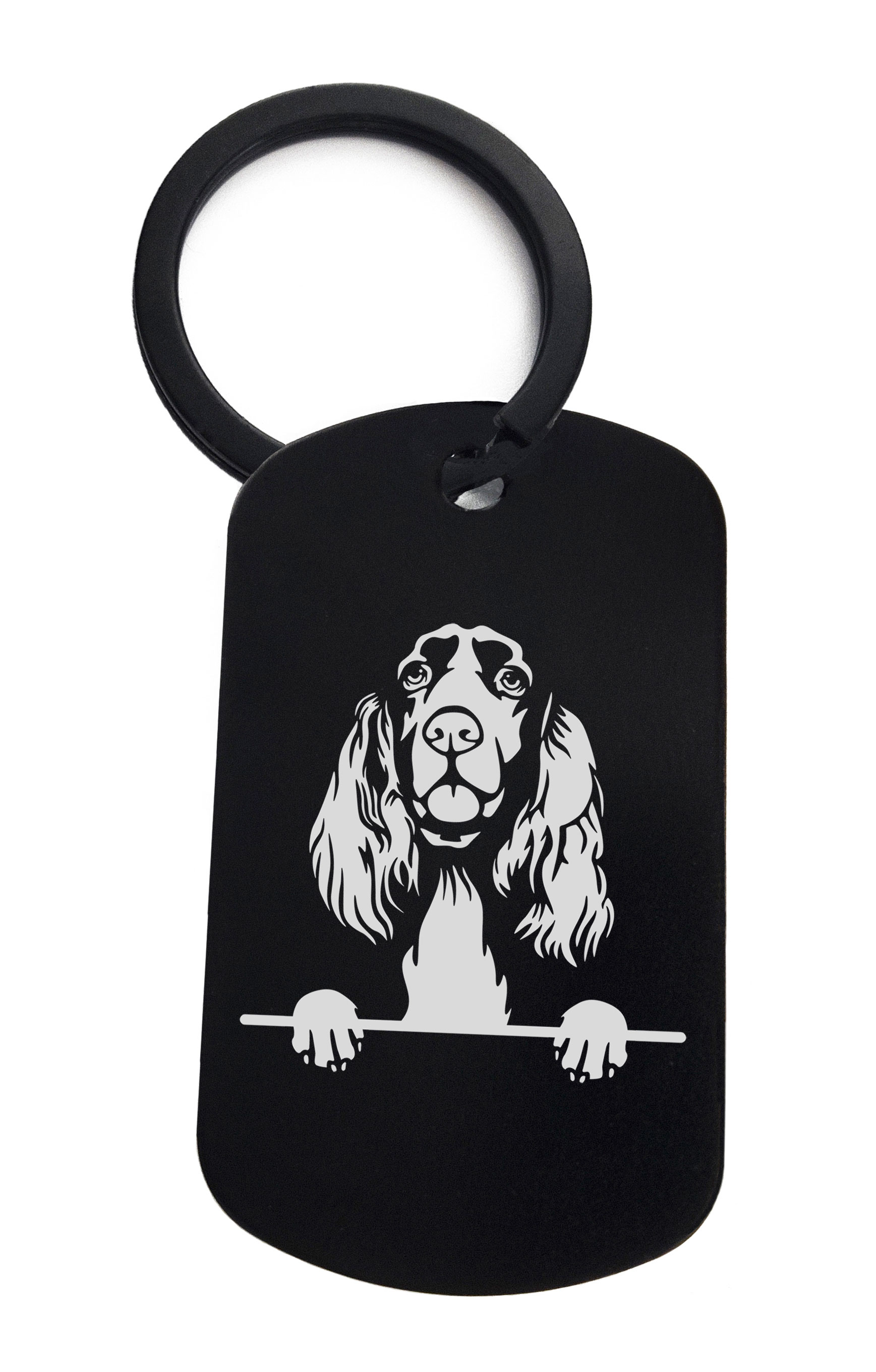 Spaniels Field Cute Dog