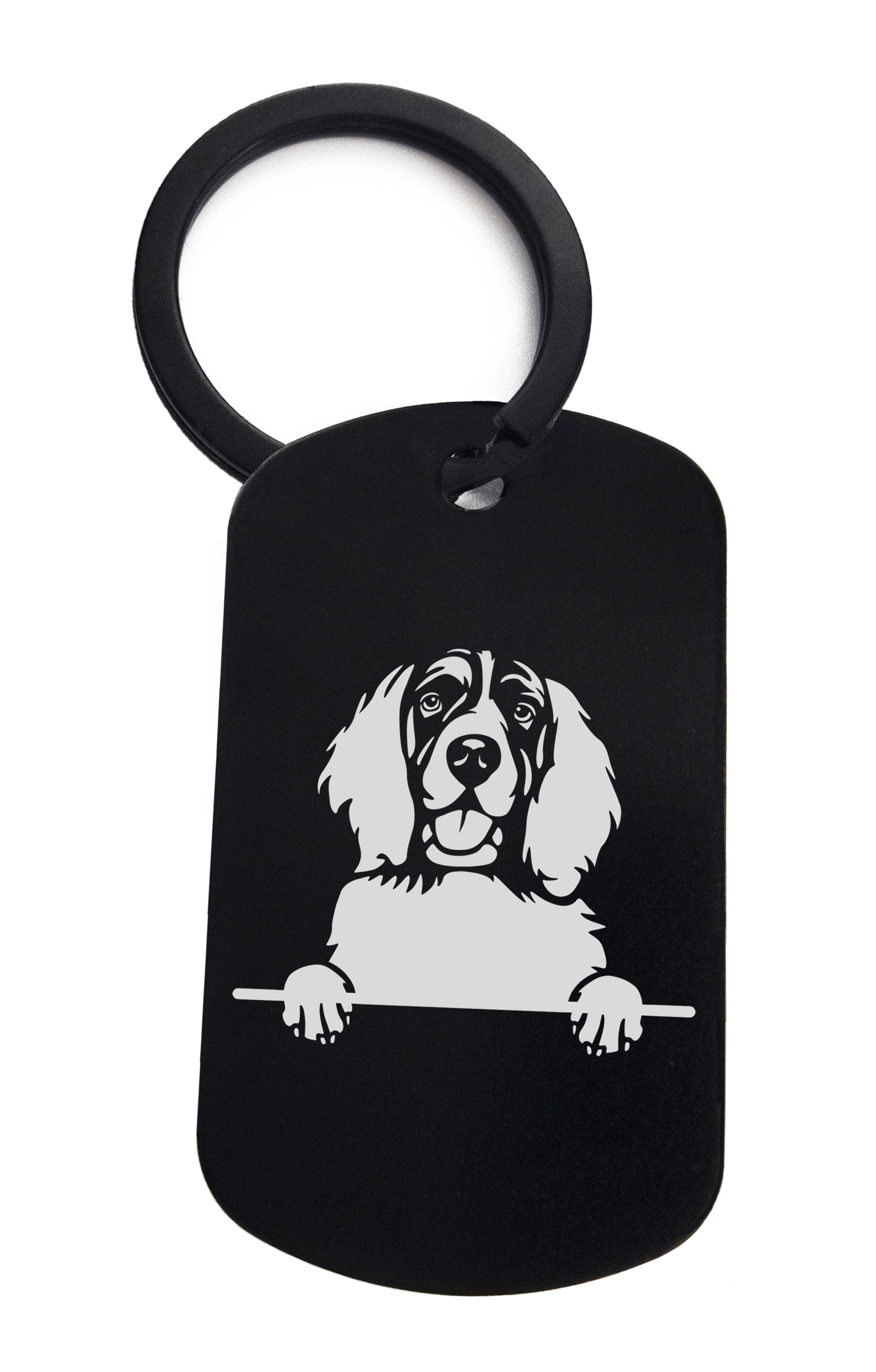 Spaniels English Springer Cute Dog