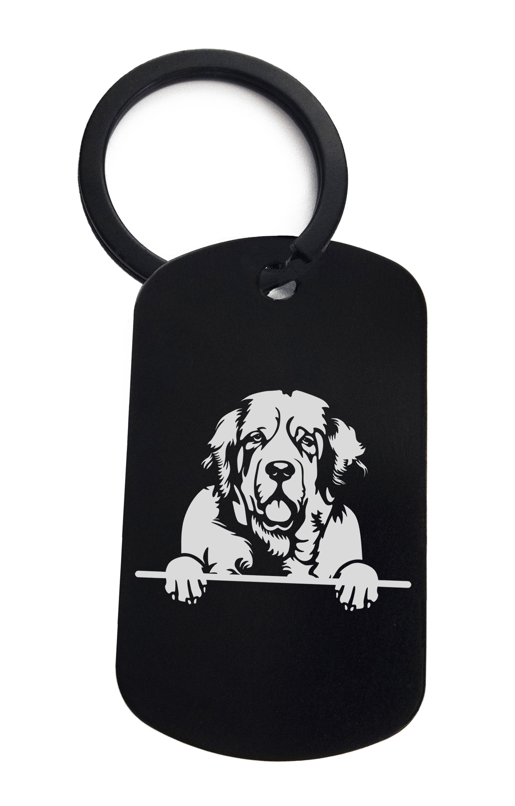 Spaniels Clumber Cute Dog