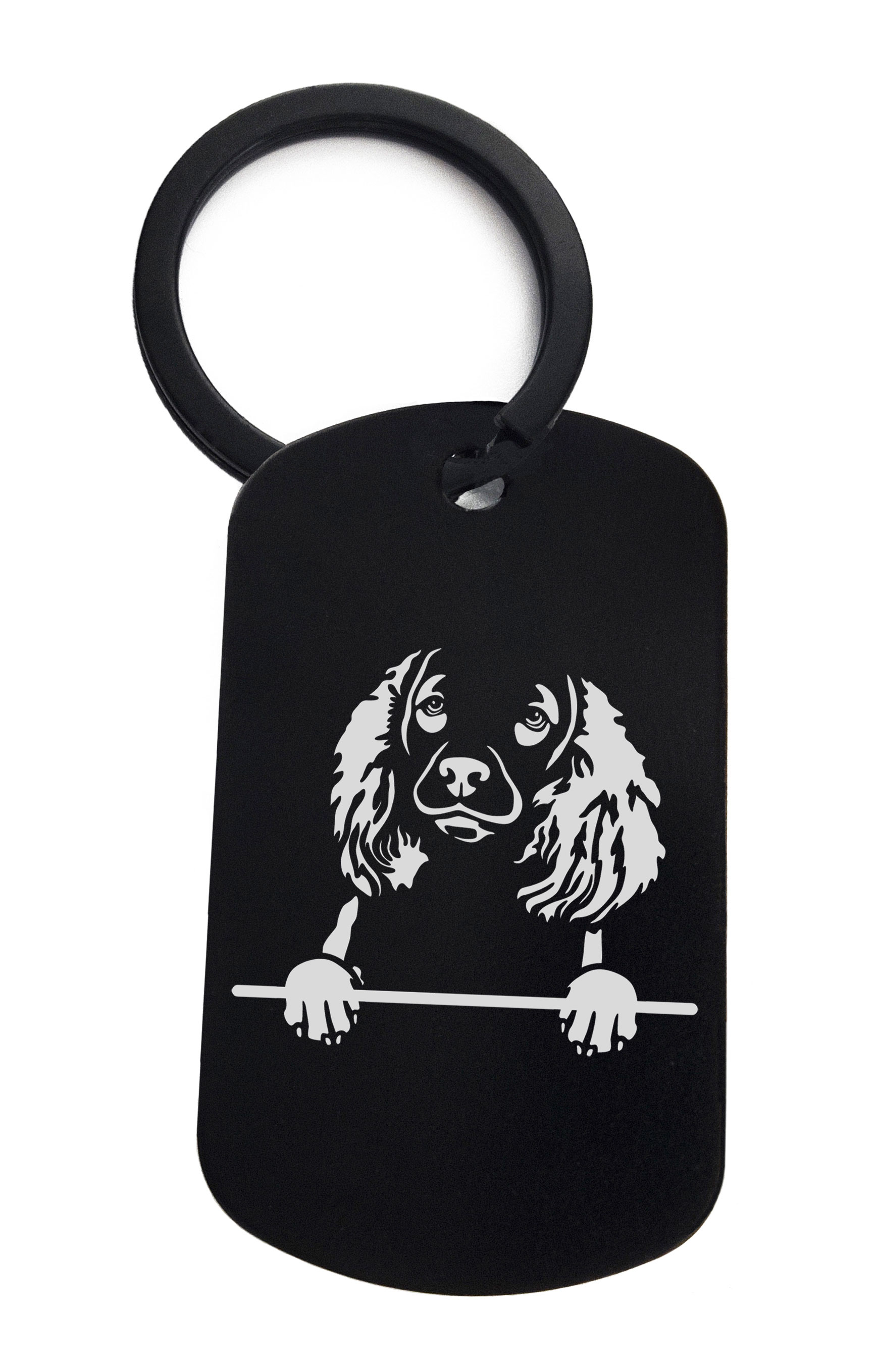 Spaniels American Water Cute Dog