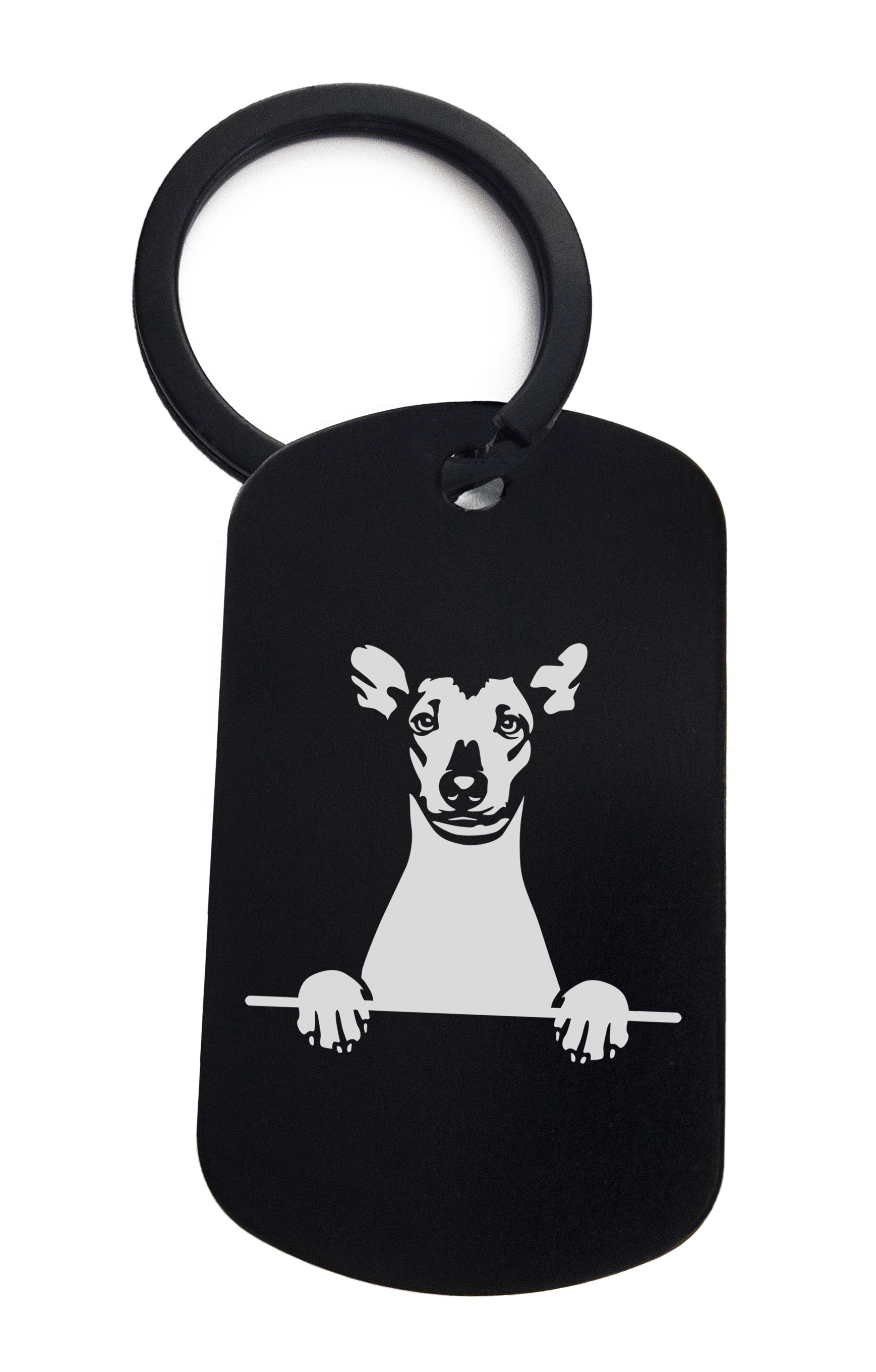 Xoloitzcuintli Cute Dog