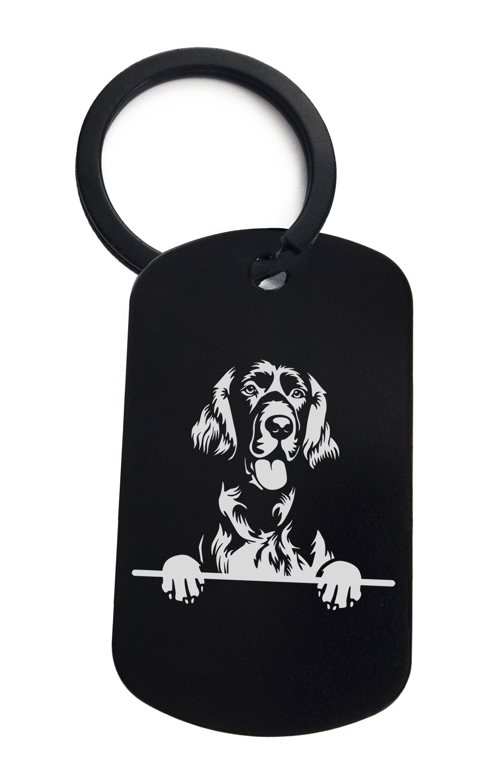 Setters Irish Cute Dog