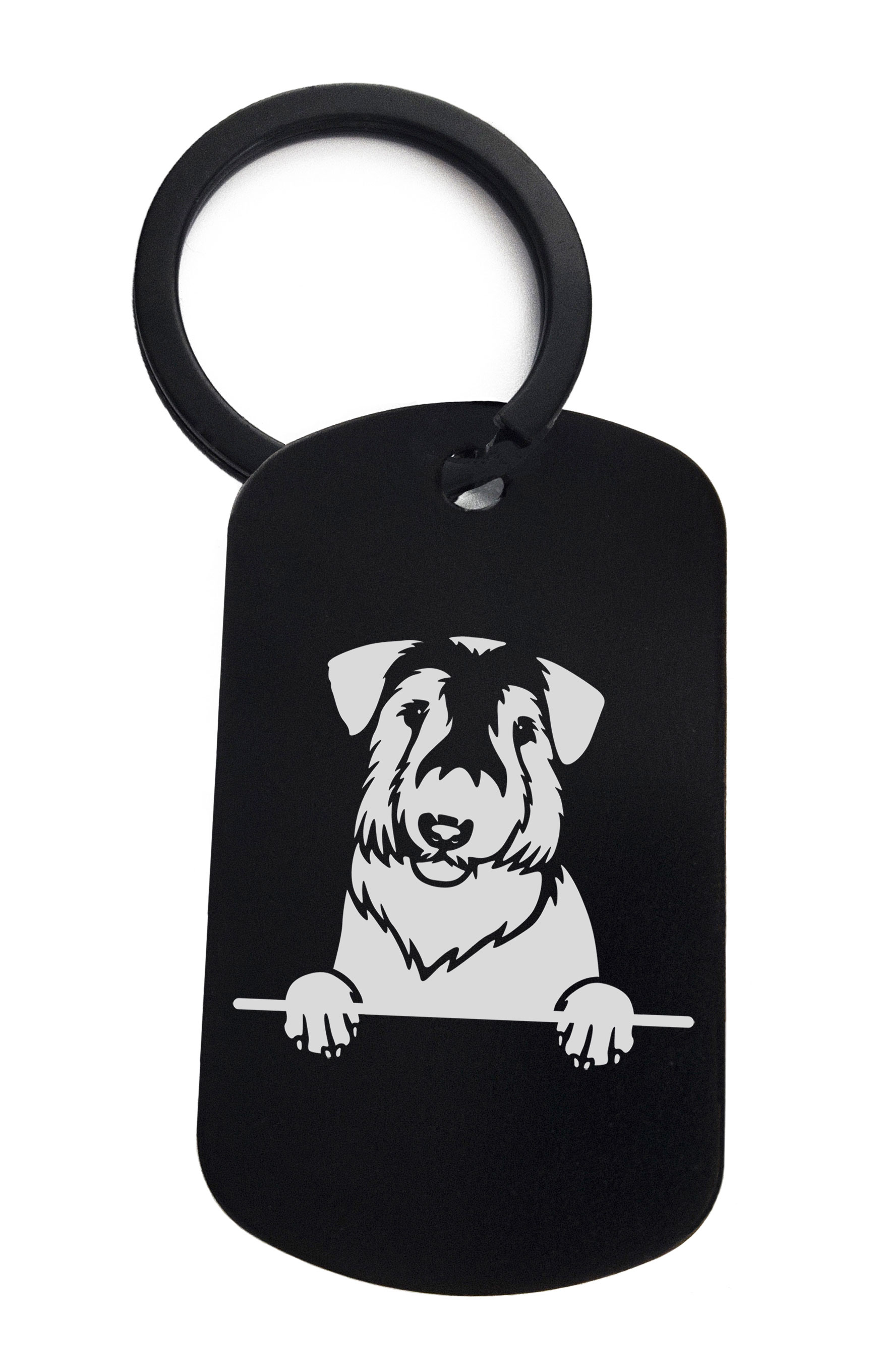 Sealyham Terriers Cute Dog